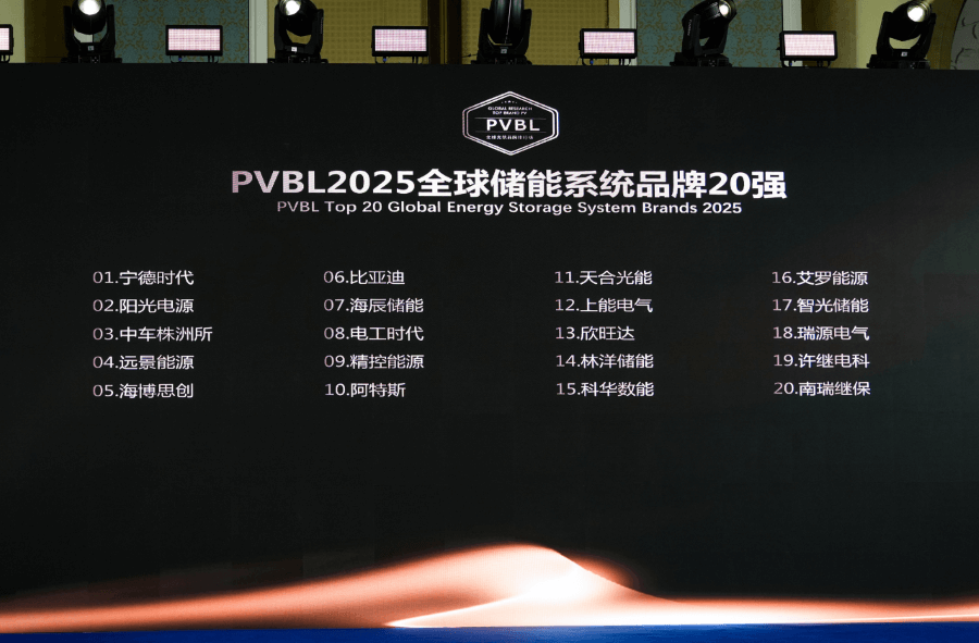 1749717985918714.png Top 20 Global ESS Brands.png