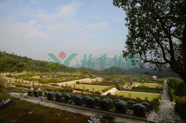抖圈- 为du而生(中国区)官方网站