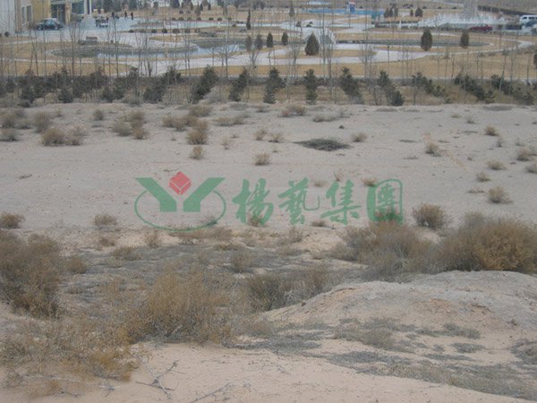 1-220209163FV57 抖圈- 为du而生(中国区)官方网站