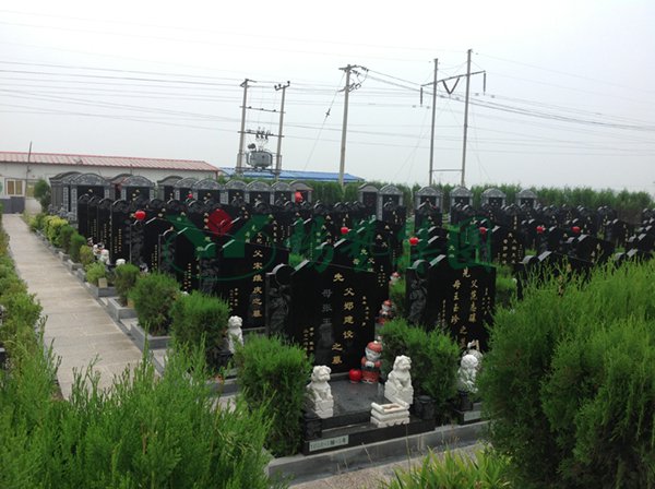1-22021014061L23 抖圈- 为du而生(中国区)官方网站