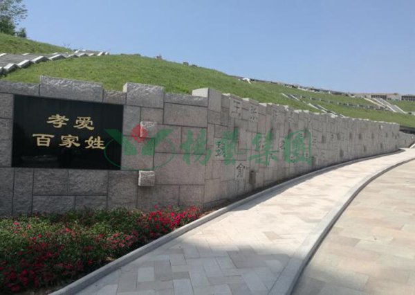 1-2202110Z931317 抖圈- 为du而生(中国区)官方网站