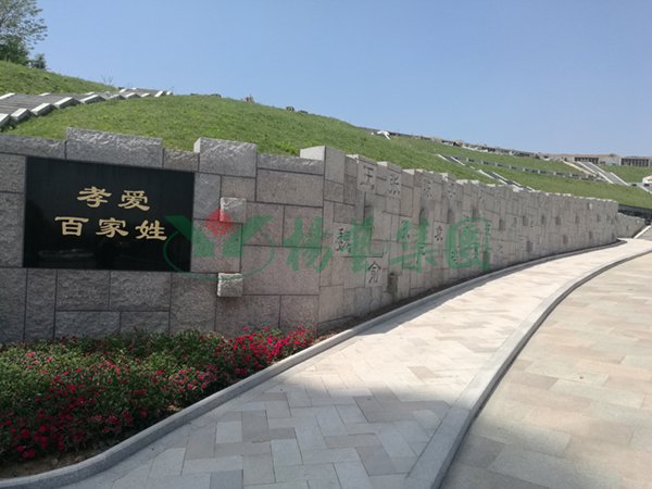 抖圈- 为du而生(中国区)官方网站