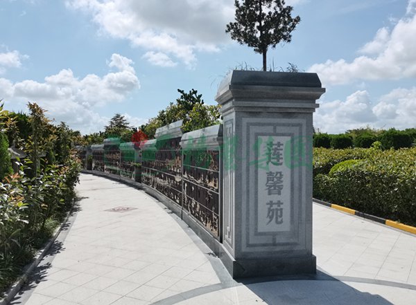 1-2202140T34K16 抖圈- 为du而生(中国区)官方网站