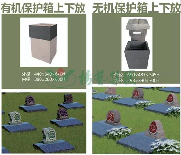 1-2202191430235W 抖圈- 为du而生(中国区)官方网站