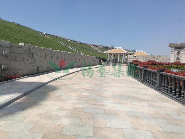 1-220223092550643 抖圈- 为du而生(中国区)官方网站