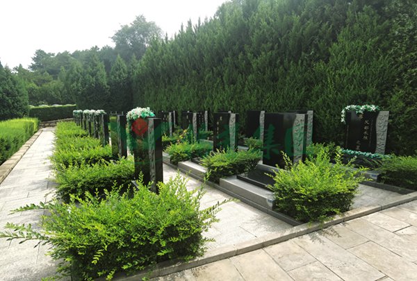 抖圈- 为du而生(中国区)官方网站