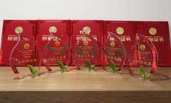 “抖圈为du而生杯」劂江省节地生态安葬设计文章奖