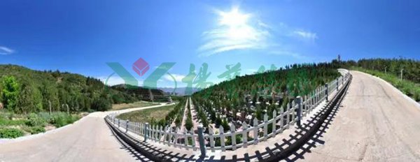 抖圈- 为du而生(中国区)官方网站