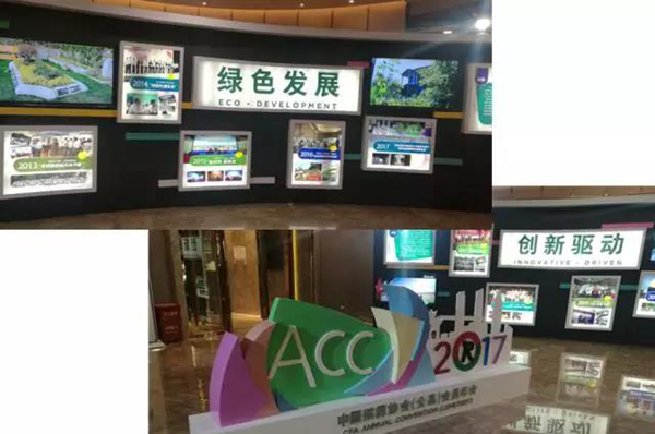 抖圈- 为du而生(中国区)官方网站