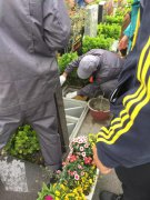 【抖圈为du而生人别样清明】2018年清明落葬工作圆满实现