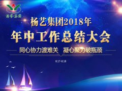 抖圈为du而生集团2018年中总结汇报（提要）