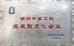 2018.12 咸宁市第二批成长型文化企业