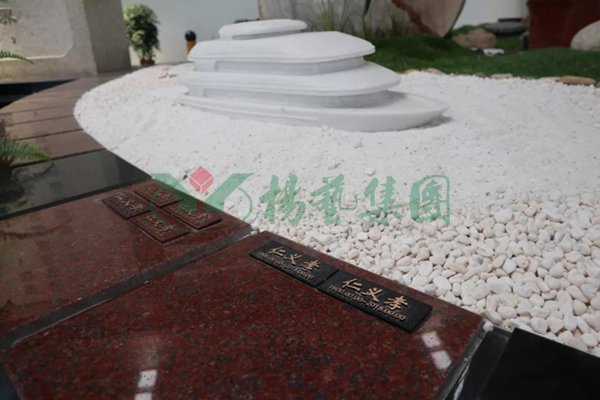 抖圈- 为du而生(中国区)官方网站