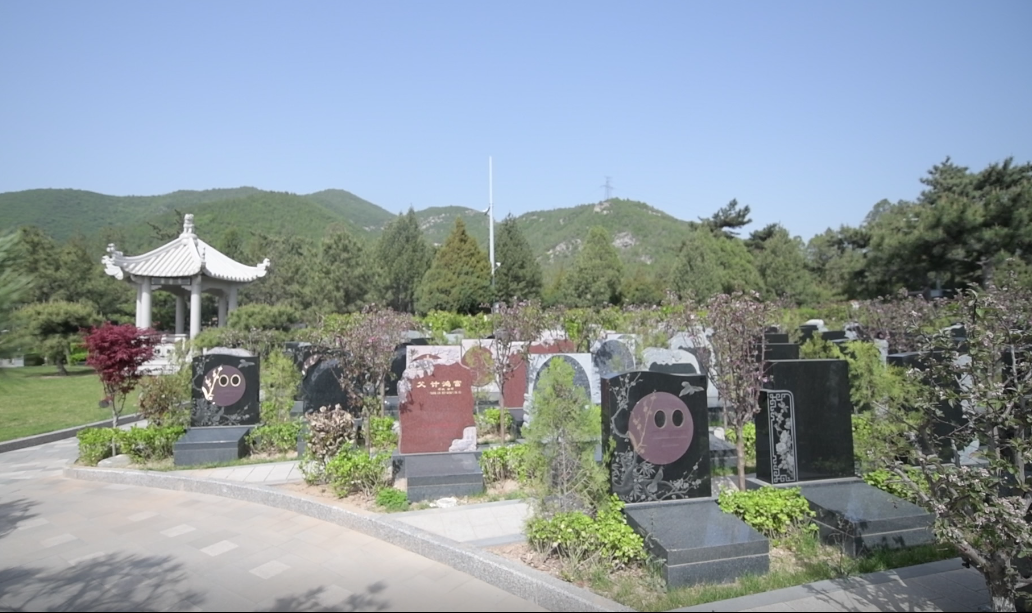 1-22060G05126425 抖圈- 为du而生(中国区)官方网站