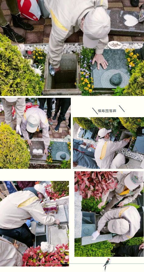 1-23040Q5014V06 抖圈- 为du而生(中国区)官方网站