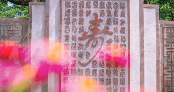 1-230G3131G9415 抖圈- 为du而生(中国区)官方网站