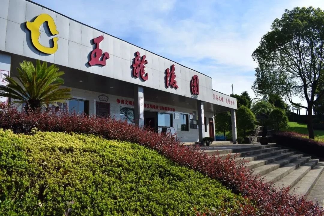 1-230R2134331X6 抖圈- 为du而生(中国区)官方网站