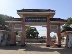 微刷新，为老墓园增添一抹新“绿”