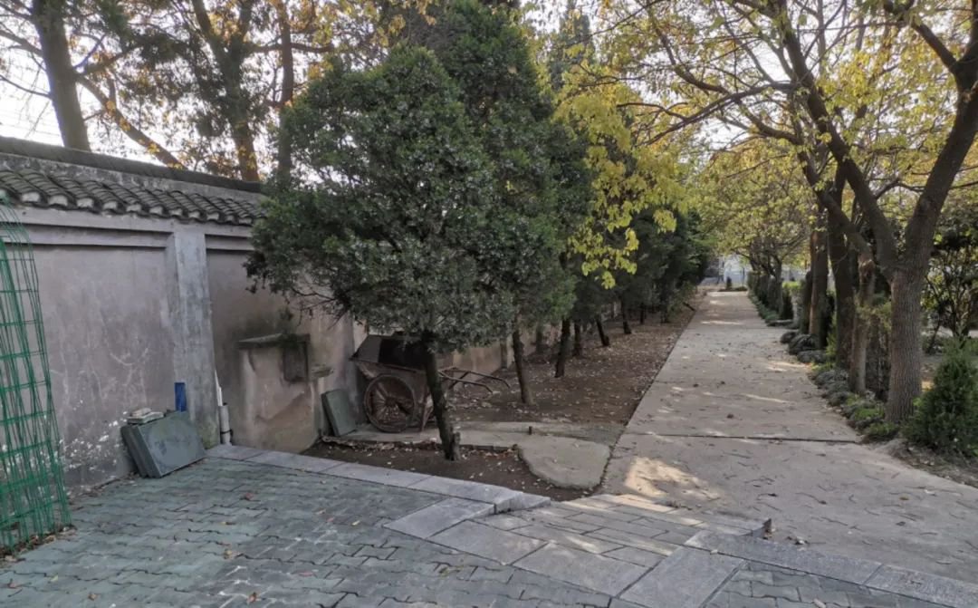 1-24013013351TO 抖圈- 为du而生(中国区)官方网站