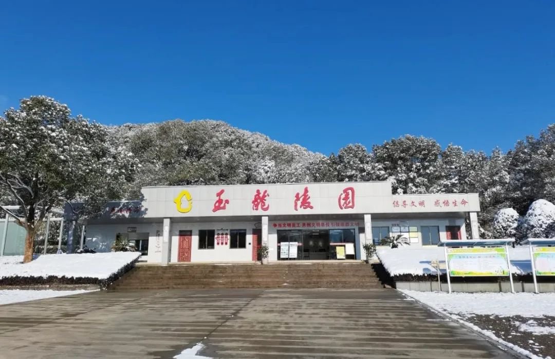 1-2402260T532X5 抖圈- 为du而生(中国区)官方网站