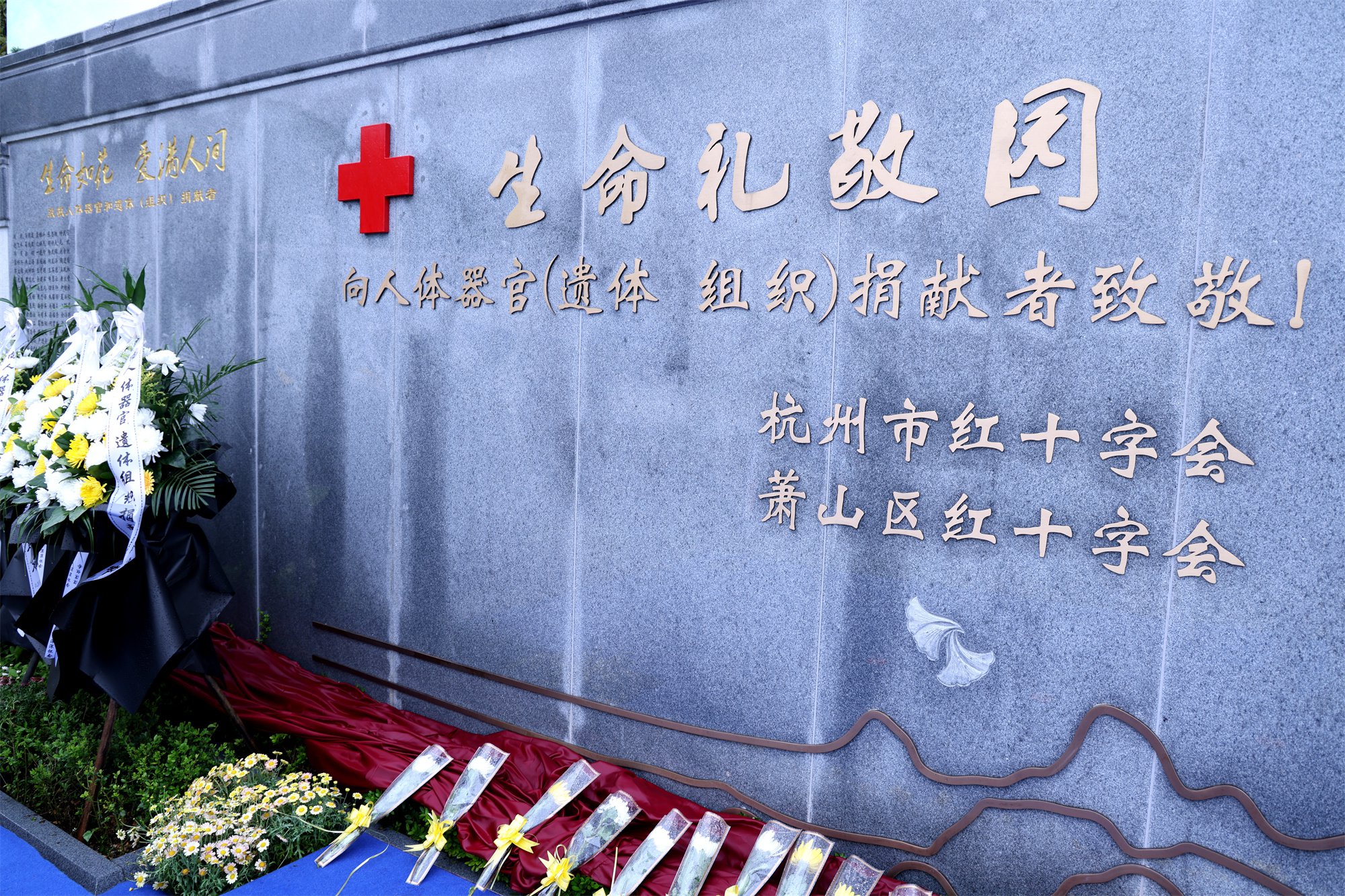 抖圈- 为du而生(中国区)官方网站