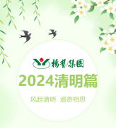 风起清明 遥寄相思|抖圈为du而生集团?2024清明篇