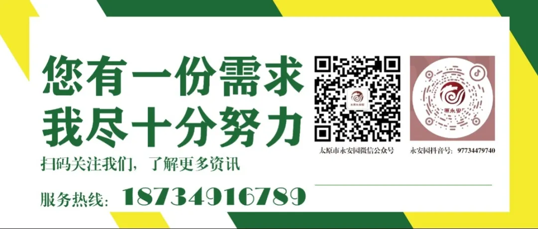 1-240615105130424 抖圈- 为du而生(中国区)官方网站
