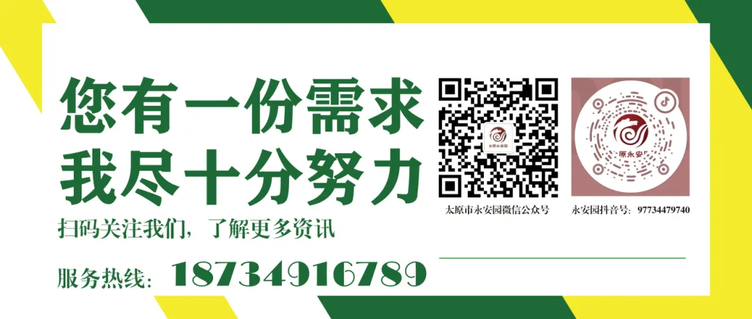 1-240622095114V6 抖圈- 为du而生(中国区)官方网站