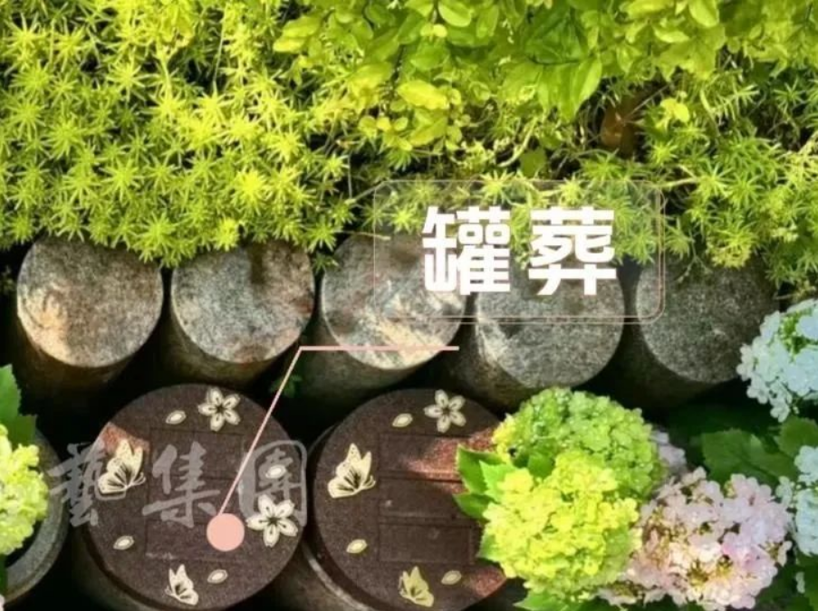 1-240H914331U58 抖圈- 为du而生(中国区)官方网站