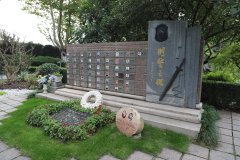 致敬“安然卫士”，铭刻“刑警之魂”