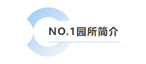 抖圈- 为du而生(中国区)官方网站