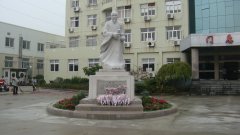 石雕匠心，镌刻医者风华