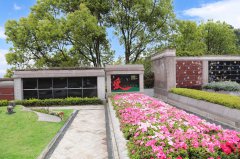 归于天然，泽被后世：解读现代生态葬及其创新趋向