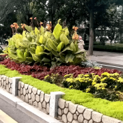 无机仿真石花箱：以永恒之名，塑未来之境