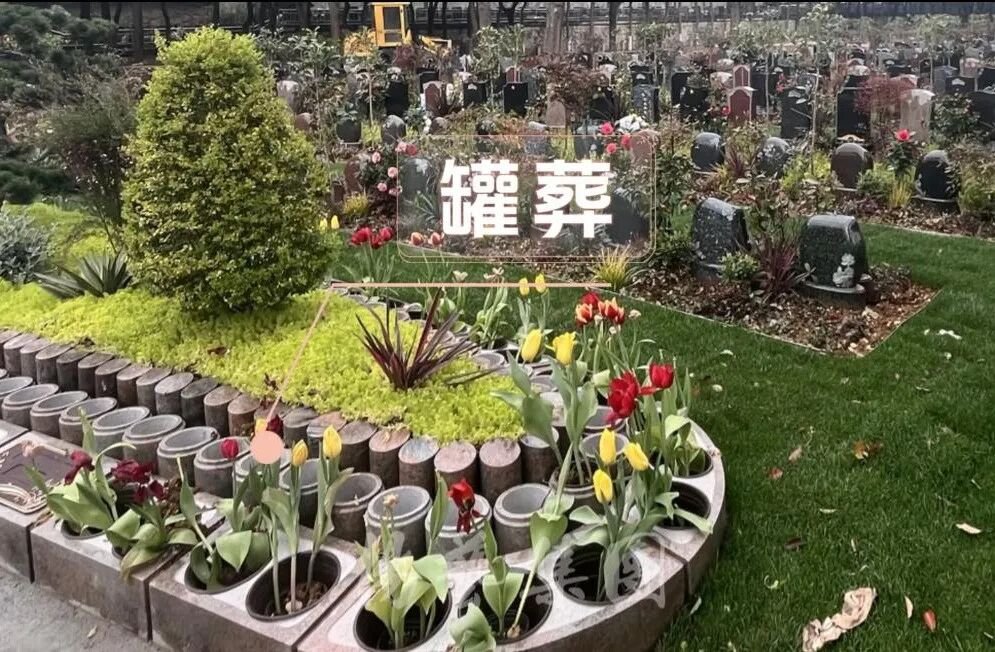1-260R11432331H 抖圈- 为du而生(中国区)官方网站