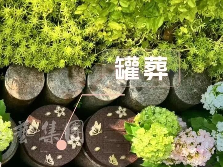 1-260R1143250303 抖圈- 为du而生(中国区)官方网站